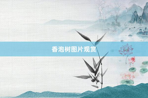 香泡树图片观赏