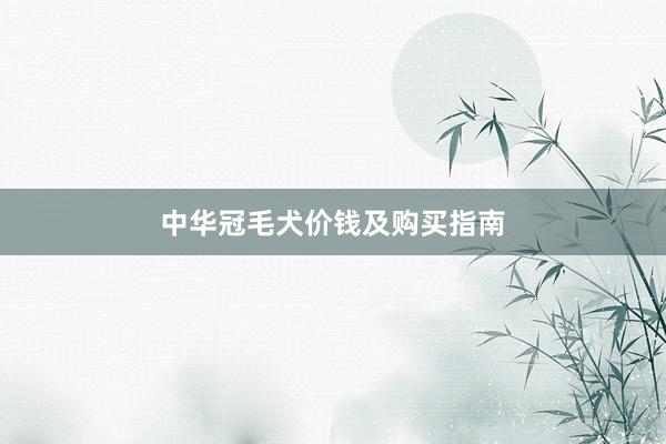 中华冠毛犬价钱及购买指南