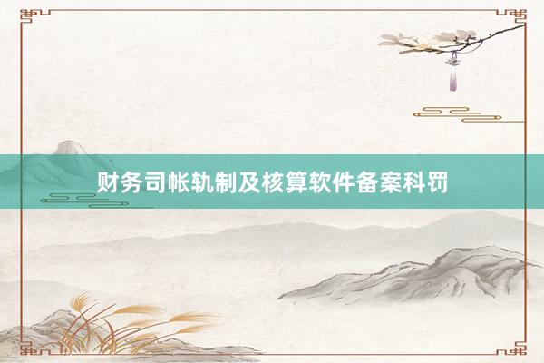 财务司帐轨制及核算软件备案科罚