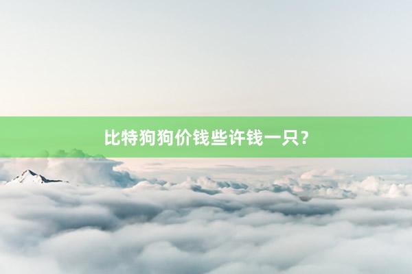 比特狗狗价钱些许钱一只？
